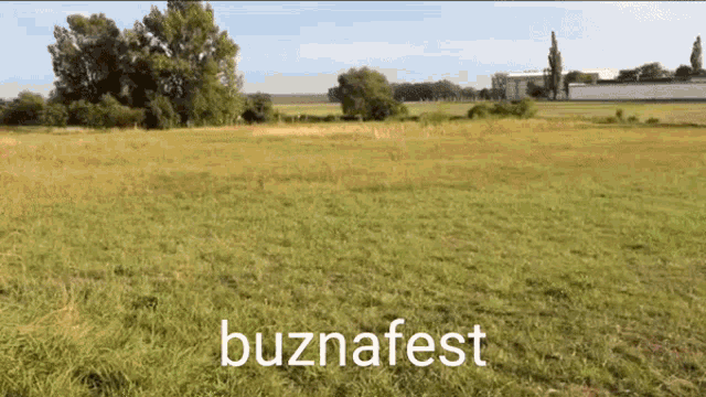 Buzna Festival GIF