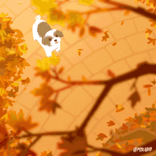 a painting of a dog surrounded by autumn leaves with the name moxamp written on the bottom