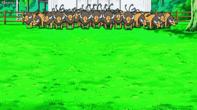a herd of sheep are standing in a grassy field .