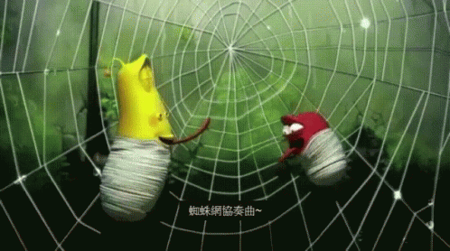 蜘蛛網協奏曲 Spider Web Duet GIF