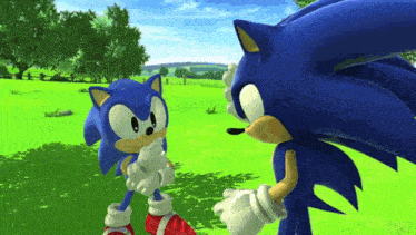 two sonic the hedgehogs are standing in a grassy field .