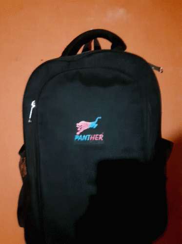 Panther Bag GIF - Panther Bag GIFs
