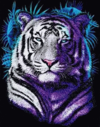 a purple and white tiger with blue feathers on its head is looking at the camera on a black background .