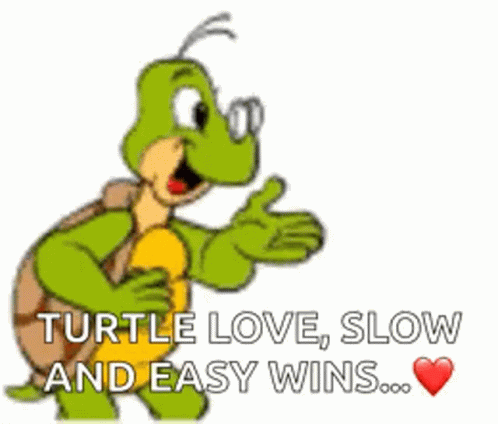 Turtle Kiss GIF - Turtle Kiss Flying Kiss GIFs