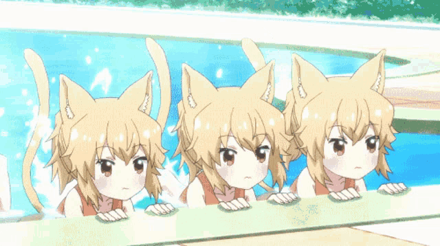 three anime girls with cat ears are in a pool