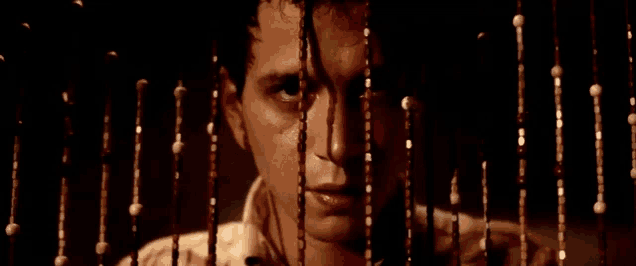 a close up of a man 's face behind a bead curtain .