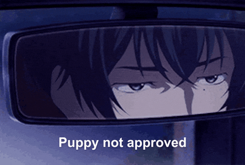 a man is looking in the rear view mirror with the words puppy not approved above him