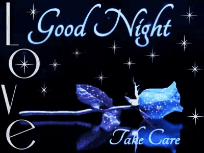 a blue rose with the words good night take care