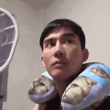 a man wearing a neck pillow with cats on it