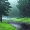 a path going through a lush green forest in the rain