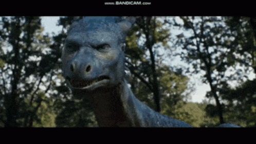 Eragon GIF - Eragon GIFs