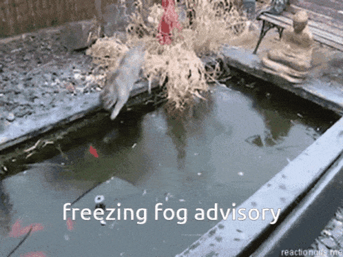 a picture of a frozen pond with the words freezing fog advisory below it