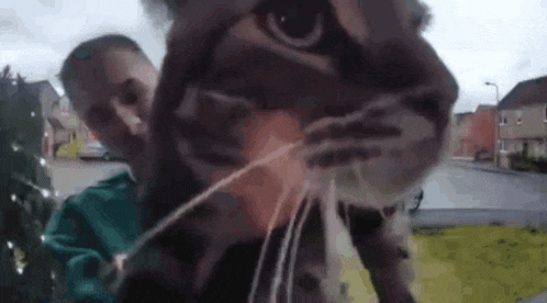 a man is holding a cat in his arms and looking at it .