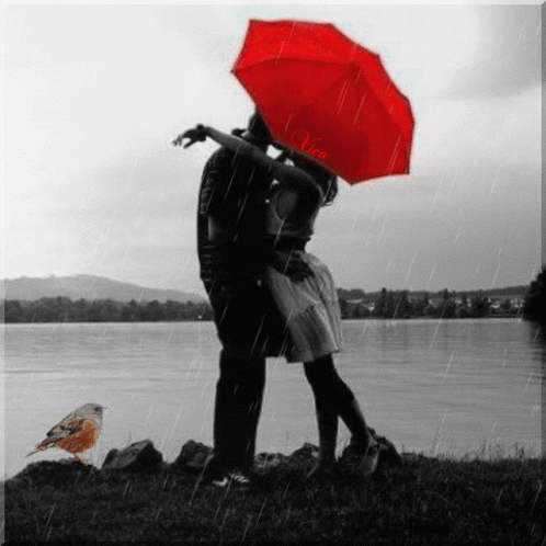 Romantic Love GIF - Romantic Love Couple GIFs