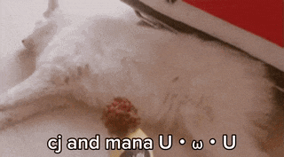 a white dog laying on the floor with the words cj and mana u written on the bottom