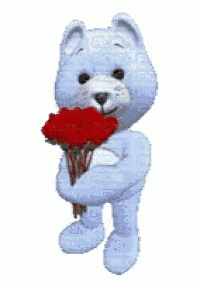a white teddy bear is holding a bunch of red roses