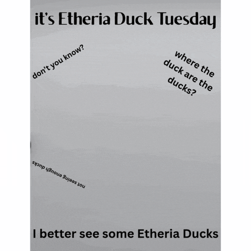 a poster that says it 's etheria duck tuesday with a stuffed duck on it
