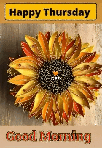 a picture of a sunflower with the words happy thursday good morning written below it