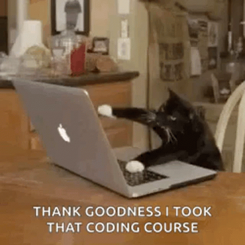 Kitten Cat GIF - Kitten Cat Typing GIFs