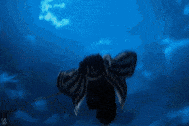a person is flying through the air while holding a sword .
