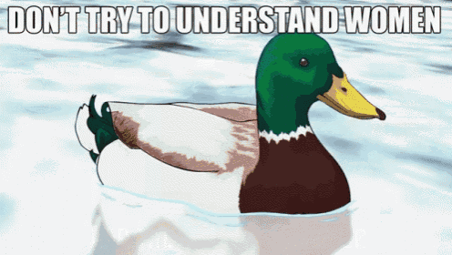 a picture of a duck with the words " don t try to understand women " below it