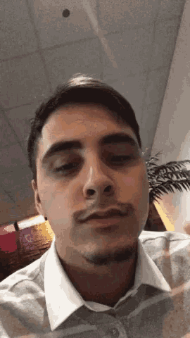 a man with a beard is looking at the camera