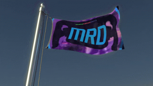 Mrd Motor Racing Discord GIF - Mrd Motor Racing Discord Hi Hi Racing GIFs