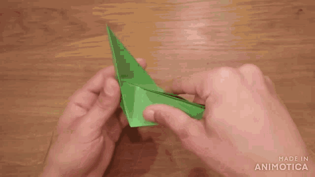 a person is making a green origami bird with the words made in animatica visible in the corner