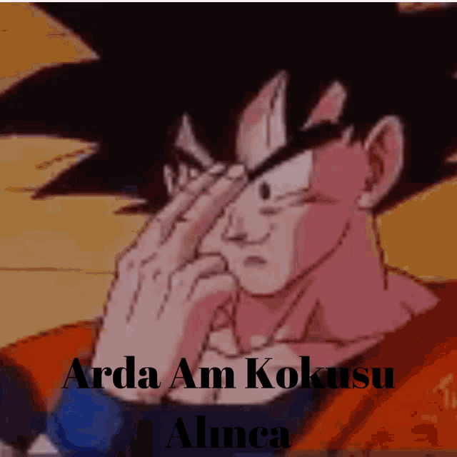 Arda Goku Işinlanma GIF - Arda Goku Işinlanma GIFs