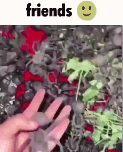 a person 's hand is reaching out towards a pile of plastic toys .