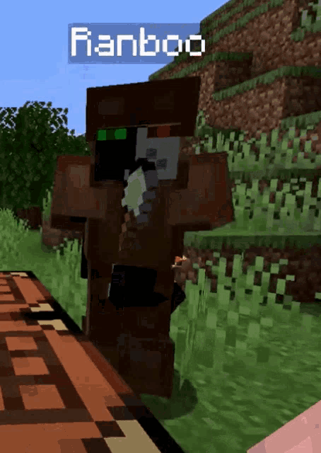 a minecraft character named ranboo stands in the grass