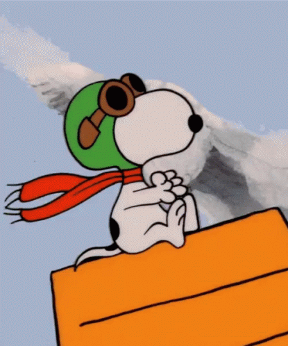 Pilot GIF - Pilot Snoopy Flying GIFs