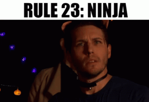 Rule23ninja GIF - Rule23ninja GIFs