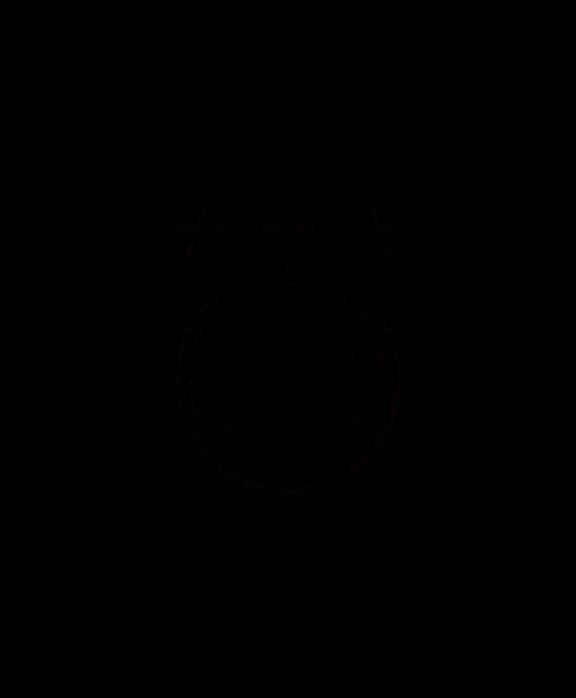 a red circle with a star in the center