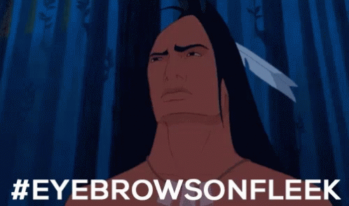 Pocahontas Eyebrows On Fleek Gif Pocahontas Eyebrows On Fleek