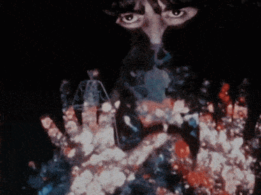 Blue Jay Way Magical Mystery Tour GIF - Blue Jay Way Magical Mystery Tour GIFs