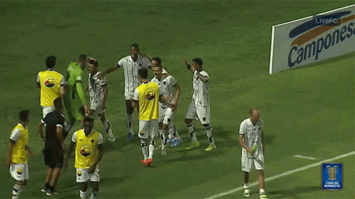 Excited Csa Vc Botafogo GIF - Excited Csa Vc Botafogo Jump GIFs