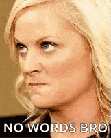 a close up of a woman 's face with the words `` no words bro '' written above her .