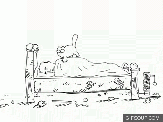 Cat Alarm Clock Wake Up GIF - Cat Alarm Clock Wake Up Im Up Im Up GIFs