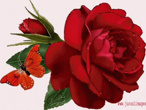 Gia Sena Roses GIF - Gia Sena Roses Glittery GIFs