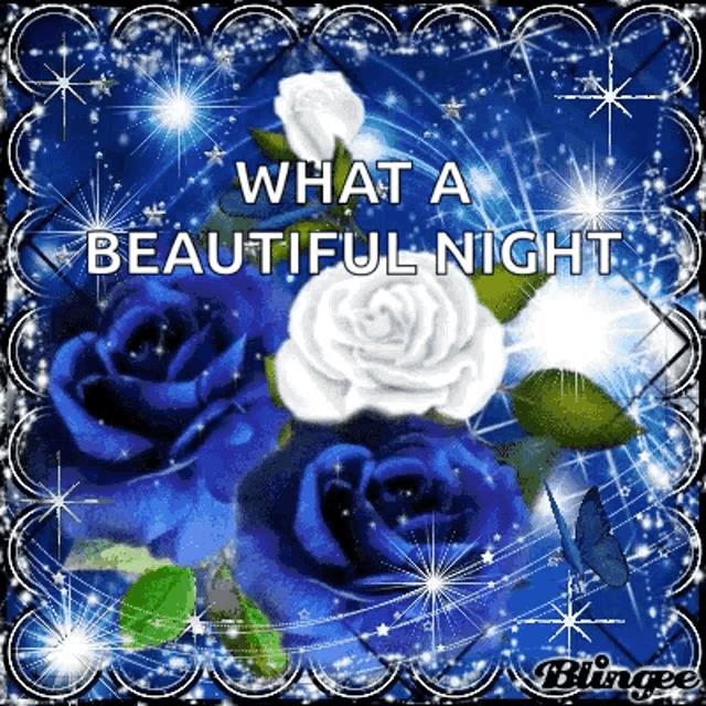 what a beautiful night with blue roses and white roses on a blue background