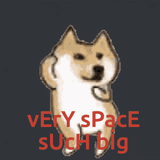 a picture of a dog with the words very space such big
