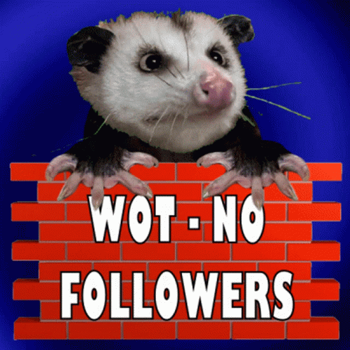 Wot No Followers What No Followers GIF