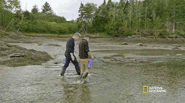 Walking In The Oyster Bed Gordon Tries Smoked Oysters GIF - Walking In The Oyster Bed Gordon Tries Smoked Oysters Walking Through The River GIFs