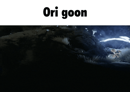 a video game scene with the words ori goon on the bottom