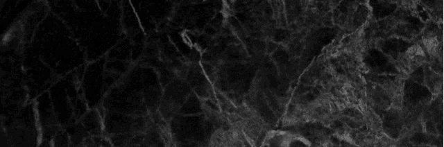 a black and white image of a tree trunk with a grainy texture .