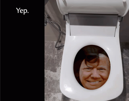 Trump Toilet Piss On Trumps Face GIF - Trump Toilet Piss On Trumps Face Shit On Trumps Face GIFs