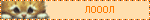 a blurred image of a cat 's face and the word " nooo " in orange letters