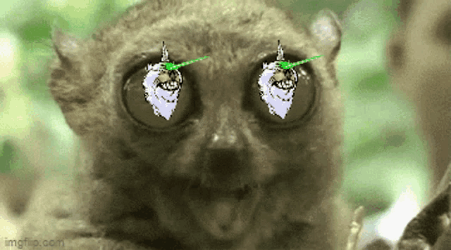 a close up of a monkey 's eyes with a pixelated image of a unicorn on them