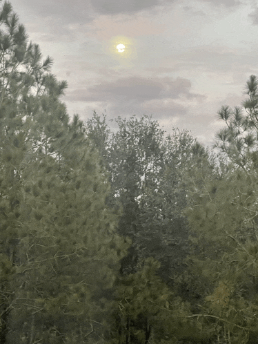 the sun is shining through the clouds in the sky above the trees